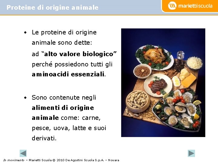 Proteine di origine animale • Le proteine di origine animale sono dette: ad “alto