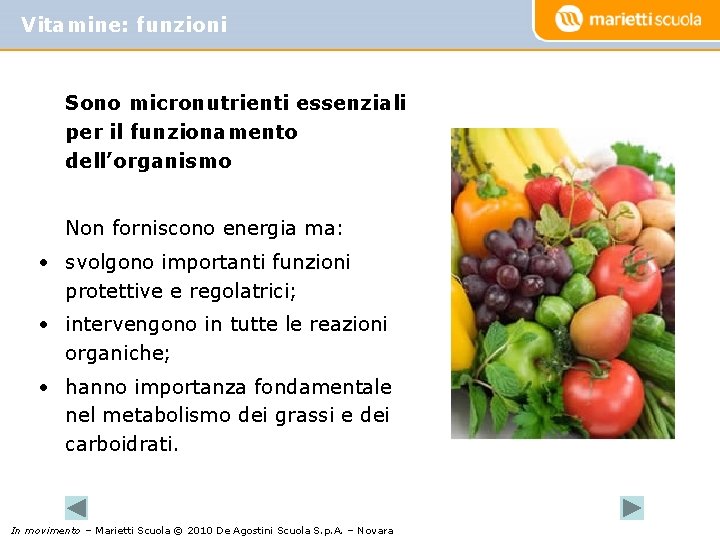 Vitamine: funzioni Sono micronutrienti essenziali per il funzionamento dell’organismo Non forniscono energia ma: •