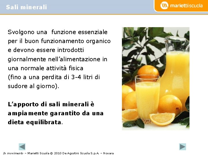 Sali minerali Svolgono una funzione essenziale per il buon funzionamento organico e devono essere