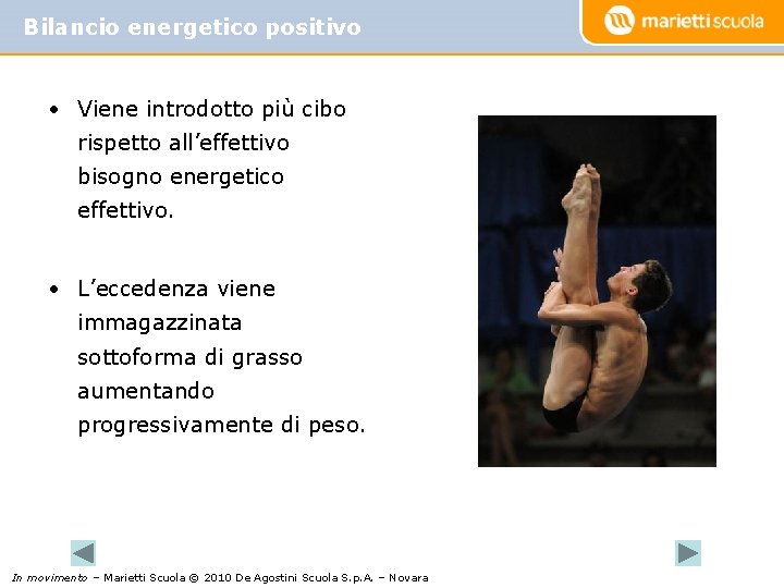 Bilancio energetico positivo • Viene introdotto più cibo rispetto all’effettivo bisogno energetico effettivo. •