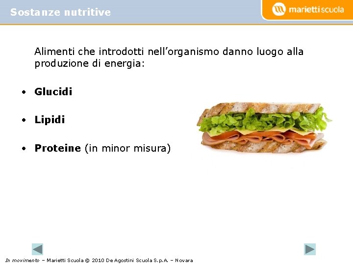 Sostanze nutritive Alimenti che introdotti nell’organismo danno luogo alla produzione di energia: • Glucidi