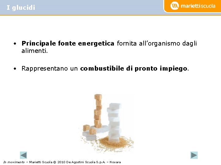 I glucidi • Principale fonte energetica fornita all’organismo dagli alimenti. • Rappresentano un combustibile