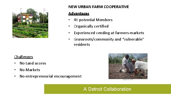 NEW URBAN FARM COOPERATIVE Advantages • • 46 potential Members Organically certified Experienced vending