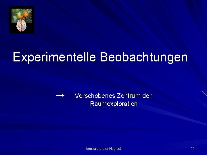 Experimentelle Beobachtungen → Verschobenes Zentrum der Raumexploration kontralateraler Neglect 14 