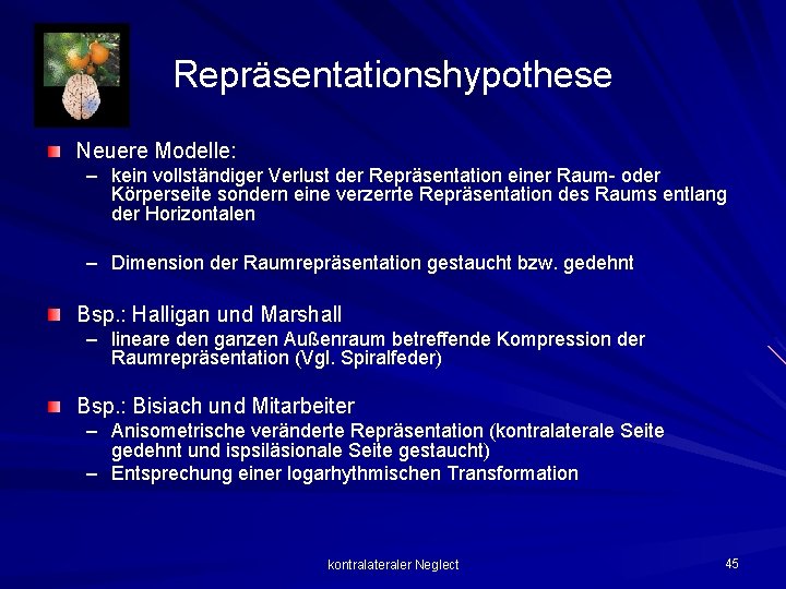 Repräsentationshypothese Neuere Modelle: – kein vollständiger Verlust der Repräsentation einer Raum- oder Körperseite sondern