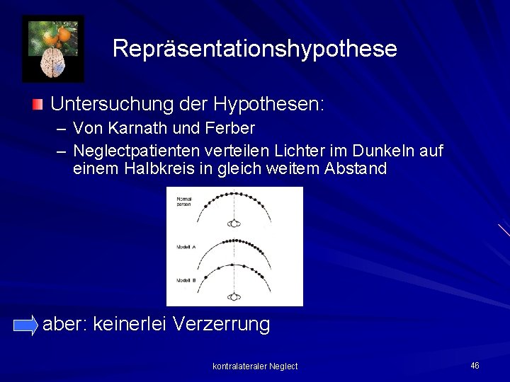 Repräsentationshypothese Untersuchung der Hypothesen: – Von Karnath und Ferber – Neglectpatienten verteilen Lichter im