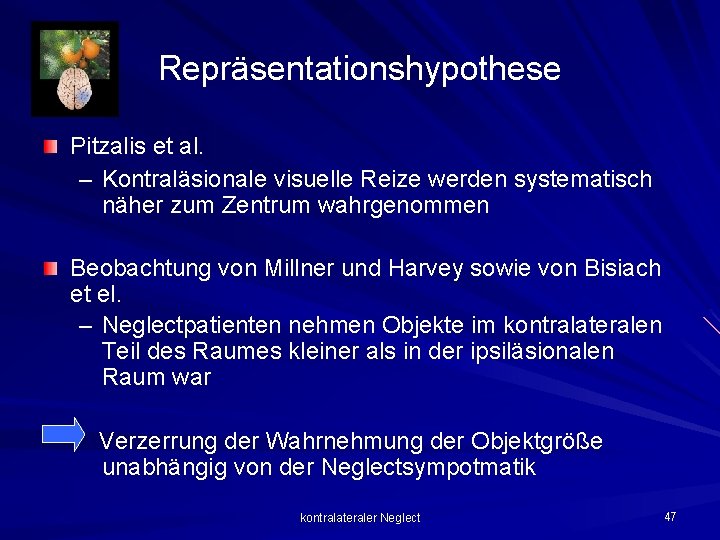 Repräsentationshypothese Pitzalis et al. – Kontraläsionale visuelle Reize werden systematisch näher zum Zentrum wahrgenommen