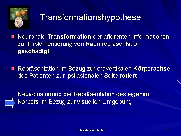 Transformationshypothese Neuronale Transformation der afferenten Informationen zur Implementierung von Raumrepräsentation geschädigt Repräsentation im Bezug