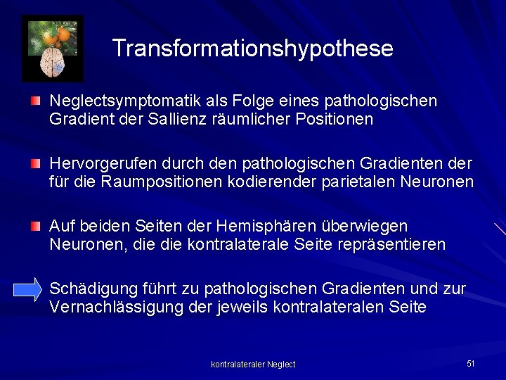 Transformationshypothese Neglectsymptomatik als Folge eines pathologischen Gradient der Sallienz räumlicher Positionen Hervorgerufen durch den