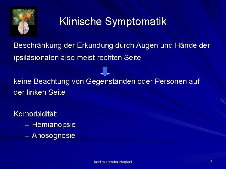 Klinische Symptomatik Beschränkung der Erkundung durch Augen und Hände der ipsiläsionalen also meist rechten