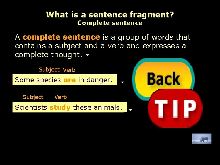 What is a sentence fragment? Complete sentence A complete sentence is a group of