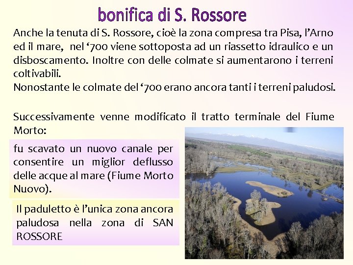 Anche la tenuta di S. Rossore, cioè la zona compresa tra Pisa, l’Arno ed Anche la tenuta di S. Rossore, cioè la zona compresa tra Pisa, l’Arno ed