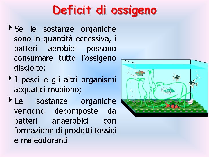 Deficit di ossigeno 4 Se le sostanze organiche sono in quantità eccessiva, i batteri Deficit di ossigeno 4 Se le sostanze organiche sono in quantità eccessiva, i batteri