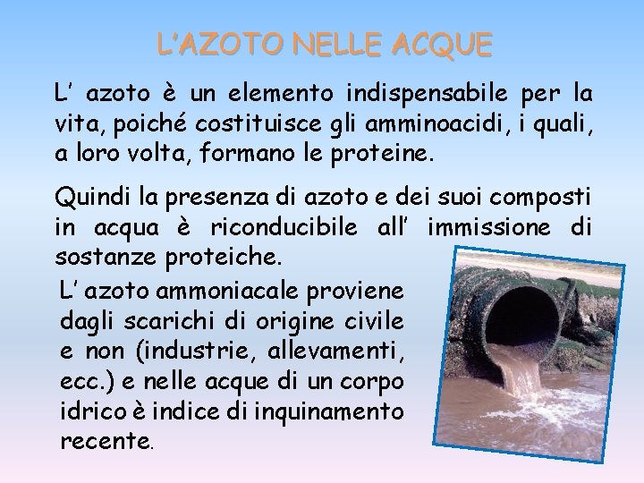 L’AZOTO NELLE ACQUE L’ azoto è un elemento indispensabile per la vita, poiché costituisce L’AZOTO NELLE ACQUE L’ azoto è un elemento indispensabile per la vita, poiché costituisce