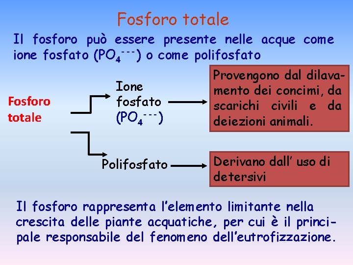 Fosforo totale Il fosforo può essere presente nelle acque come ione fosfato (PO 4 Fosforo totale Il fosforo può essere presente nelle acque come ione fosfato (PO 4