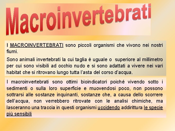 I MACROINVERTEBRATI sono piccoli organismi che vivono nei nostri fiumi. Sono animali invertebrati la I MACROINVERTEBRATI sono piccoli organismi che vivono nei nostri fiumi. Sono animali invertebrati la