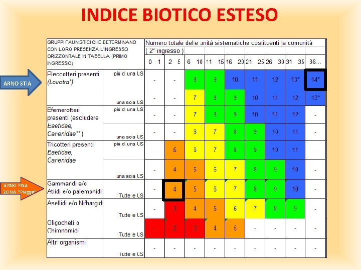 INDICE BIOTICO ESTESO ARNO STIA ARNO PISA ZONA “Piagge” INDICE BIOTICO ESTESO ARNO STIA ARNO PISA ZONA “Piagge”