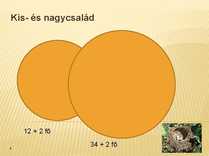 Kis- és nagycsalád 12 + 2 fő 4 34 + 2 fő 