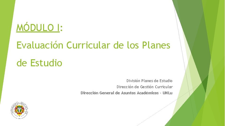MÓDULO I: Evaluación Curricular de los Planes de Estudio División Planes de Estudio Dirección