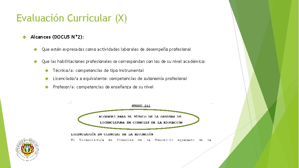 Evaluación Curricular (X) Alcances (DOCUS N° 2): Que estén expresadas como actividades laborales de