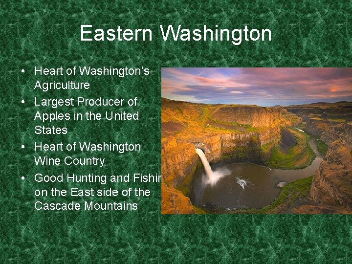Eastern Washington • Heart of Washington’s Agriculture • Largest Producer of Apples in the