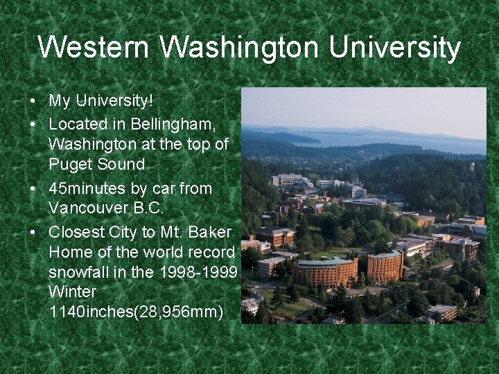 Western Washington University • My University! • Located in Bellingham, Washington at the top