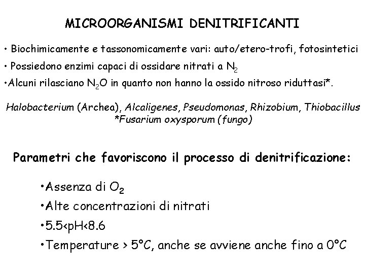 MICROORGANISMI DENITRIFICANTI • Biochimicamente e tassonomicamente vari: auto/etero-trofi, fotosintetici • Possiedono enzimi capaci di