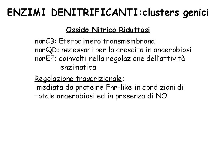 ENZIMI DENITRIFICANTI: clusters genici Ossido Nitrico Riduttasi nor. CB: Eterodimero transmembrana nor. QD: necessari