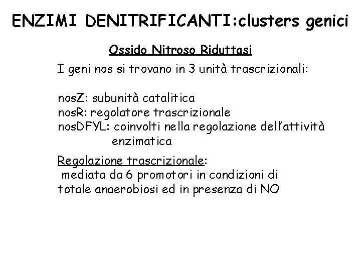 ENZIMI DENITRIFICANTI: clusters genici Ossido Nitroso Riduttasi I geni nos si trovano in 3