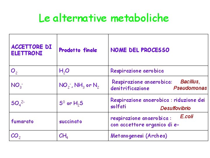 Le alternative metaboliche ACCETTORE DI ELETTRONI Prodotto finale NOME DEL PROCESSO O 2 H