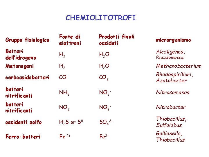 CHEMIOLITOTROFI Gruppo fisiologico Fonte di elettroni Prodotti finali ossidati Batteri dell’idrogeno H 2 O