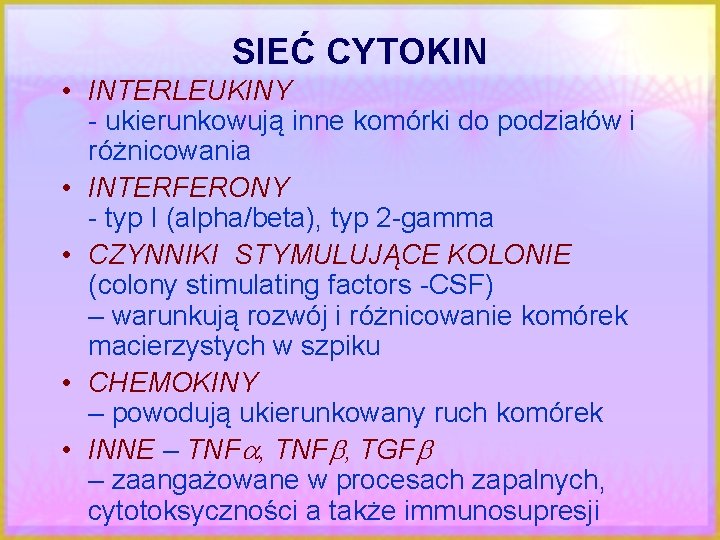 SIEĆ CYTOKIN • INTERLEUKINY - ukierunkowują inne komórki do podziałów i różnicowania • INTERFERONY