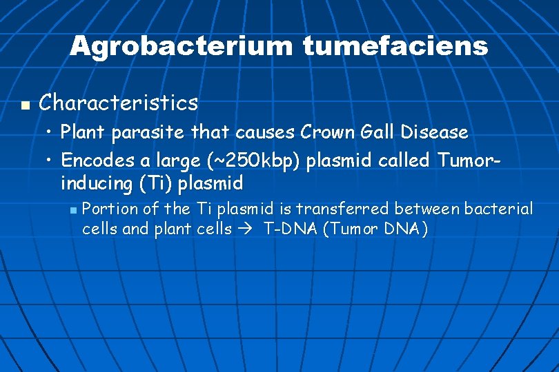 Agrobacterium tumefaciens n Characteristics • Plant parasite that causes Crown Gall Disease • Encodes