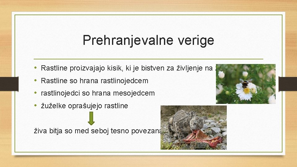 Prehranjevalne verige • • Rastline proizvajajo kisik, ki je bistven za življenje na zemlji.