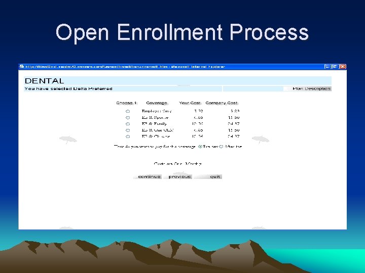 Open Enrollment Process 