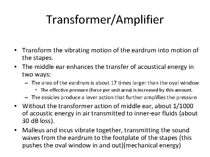 Transformer/Amplifier • Transform the vibrating motion of the eardrum into motion of the stapes.