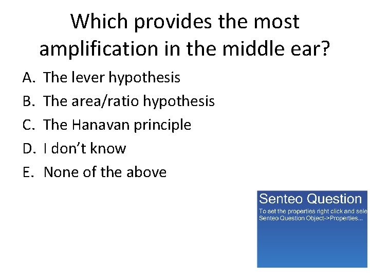 Which provides the most amplification in the middle ear? A. B. C. D. E.