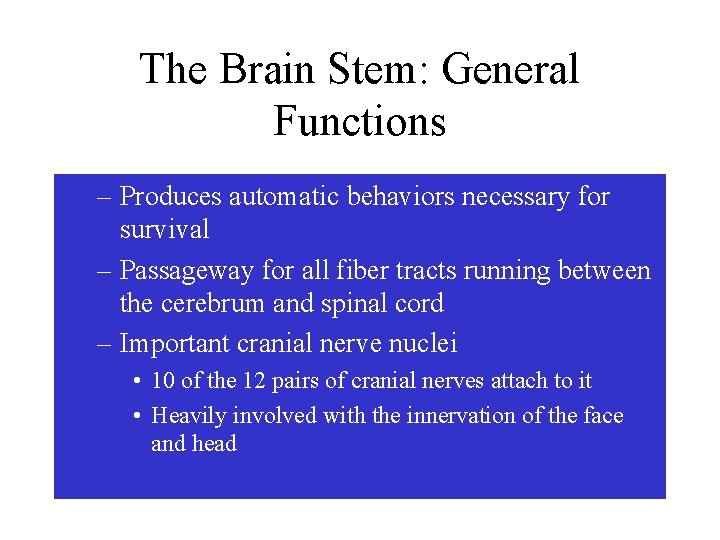 The Brain Stem: General Functions – Produces automatic behaviors necessary for survival – Passageway The Brain Stem: General Functions – Produces automatic behaviors necessary for survival – Passageway