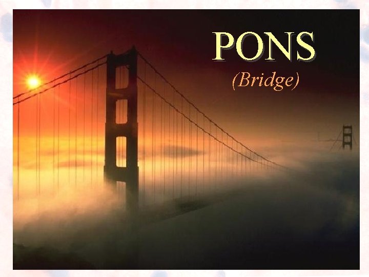 PONS (Bridge) PONS (Bridge)