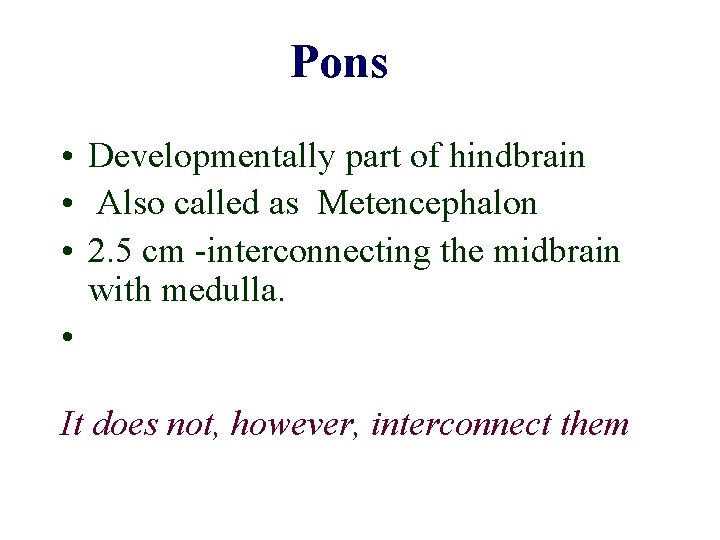 Pons • Developmentally part of hindbrain • Also called as Metencephalon • 2. 5 Pons • Developmentally part of hindbrain • Also called as Metencephalon • 2. 5