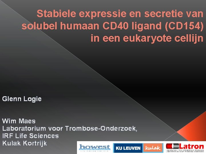 Stabiele expressie en secretie van solubel humaan CD 40 ligand (CD 154) in een