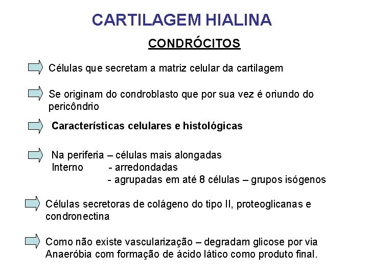 CARTILAGEM HIALINA CONDRÓCITOS Células que secretam a matriz celular da cartilagem Se originam do CARTILAGEM HIALINA CONDRÓCITOS Células que secretam a matriz celular da cartilagem Se originam do