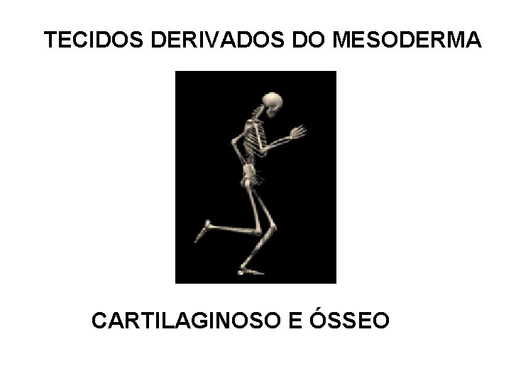 TECIDOS DERIVADOS DO MESODERMA CARTILAGINOSO E ÓSSEO TECIDOS DERIVADOS DO MESODERMA CARTILAGINOSO E ÓSSEO