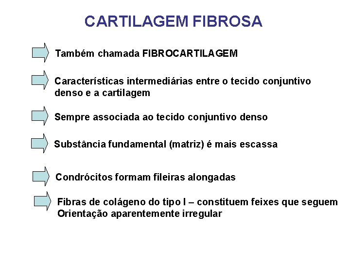 CARTILAGEM FIBROSA Também chamada FIBROCARTILAGEM Características intermediárias entre o tecido conjuntivo denso e a CARTILAGEM FIBROSA Também chamada FIBROCARTILAGEM Características intermediárias entre o tecido conjuntivo denso e a