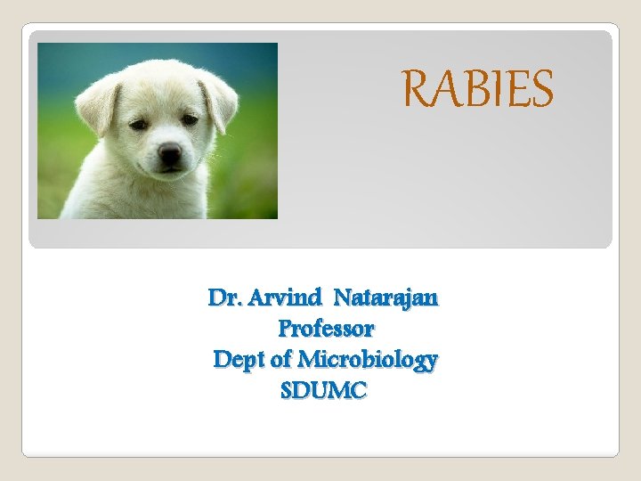 RABIES Dr. Arvind Natarajan Professor Dept of Microbiology SDUMC 