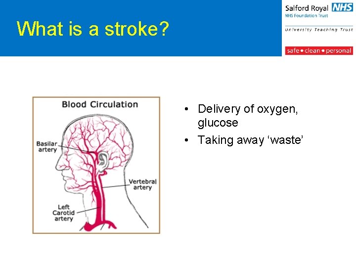 What is a stroke? • Delivery of oxygen, glucose • Taking away ‘waste’ 