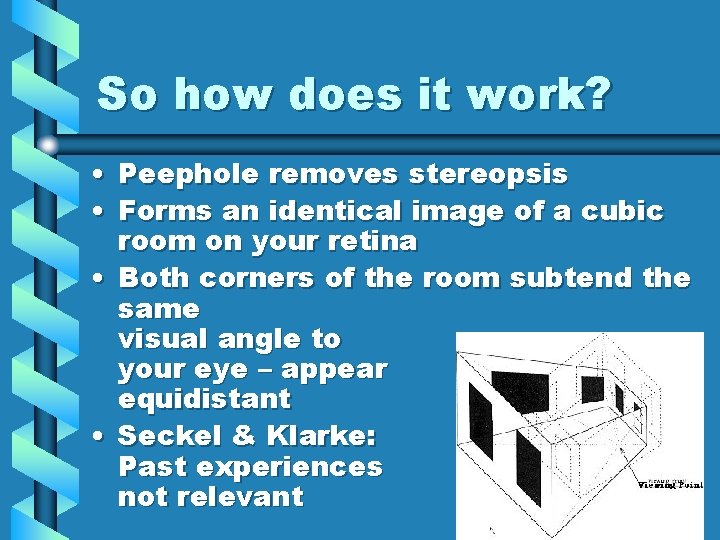 So how does it work? • Peephole removes stereopsis • Forms an identical image