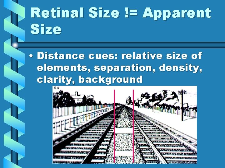 Retinal Size != Apparent Size • Distance cues: relative size of elements, separation, density,