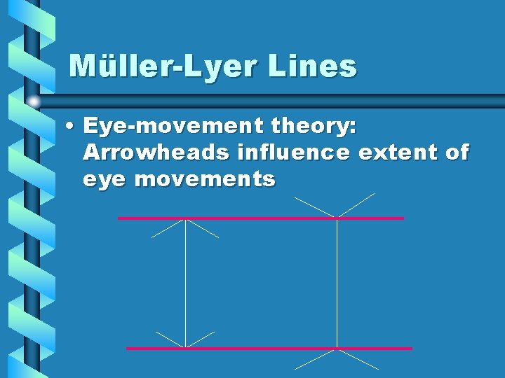 Müller-Lyer Lines • Eye-movement theory: Arrowheads influence extent of eye movements 