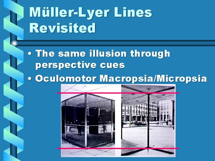 Müller-Lyer Lines Revisited • The same illusion through perspective cues • Oculomotor Macropsia/Micropsia 